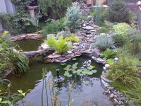 Озеленение. Благоустройство. Ландшафтный дизайн. Красиво и качественно! - Изображение #1, Объявление #860857