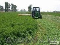 Семена люцерны и клевера. - Изображение #2, Объявление #852629