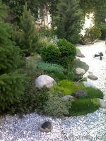 Озеленение. Благоустройство. Ландшафтный дизайн. Красиво и качественно! - Изображение #4, Объявление #860857