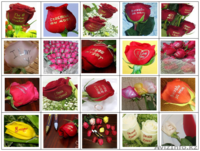 Продам флористические ручки (карандаши) или БИО-фломастеры - Изображение #2, Объявление #857452