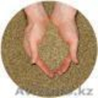 Семена люцерны и клевера. - Изображение #1, Объявление #852629