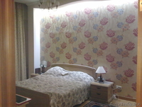 2-комнатная квартира в ЖК Новый центр - Изображение #3, Объявление #888791