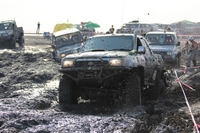 фото - на любой вкус! - Изображение #1, Объявление #880787