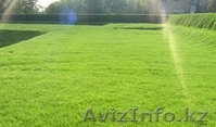 Посев,посадка  газона - Изображение #3, Объявление #881374