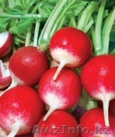 Семена овощей оптом, удобрения Флоровит  - Изображение #1, Объявление #874789