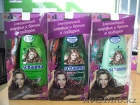 aizhan.yelikbayeva@htl.kz - Изображение #2, Объявление #883204