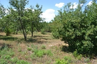 Продается дом 2 уровня - Изображение #2, Объявление #897432