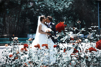 Свадебная, почасовая фотосъемка - Изображение #8, Объявление #901330