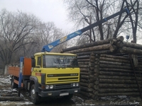 услуга манипулятора по г. Алматы - Изображение #2, Объявление #911444