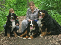 Питомник Бернских Зенненхундов предлагает - Изображение #4, Объявление #944992