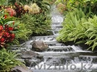 Крем StemCellTherapy - Изображение #3, Объявление #950125