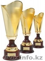 Изготовление сувенирной продукции медалей,орденов,кубков,статуэток. - Изображение #10, Объявление #966636