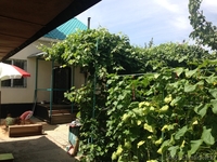 дом 2-х эт.200кв. медеуском р- не.или обмен на астану 2-х с вашей допл. - Изображение #6, Объявление #966199