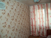 з-комнатная квартира - Изображение #2, Объявление #973168