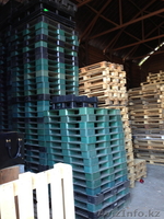 Продажа пластиковых поддонов 120*100 и 120*80 - Изображение #3, Объявление #381994