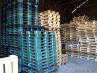 Продажа пластиковых поддонов 120*100 и 120*80 - Изображение #4, Объявление #381994