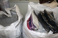 Stock, Second hand - Изображение #2, Объявление #975807