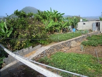 ШАЛЕ В ИСПАНИИ , TENERIFE , LOS LLANOS DE ARIDANE , CANARIAS - Изображение #2, Объявление #968806