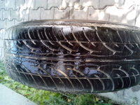 шина                                                                             - Изображение #2, Объявление #980707