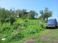 Участок площадью 9,5 га   Алматы, Медеуский р-н, Каменское плато,неделимый, свет - Изображение #4, Объявление #995599