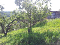 Участок площадью 9,5 га   Алматы, Медеуский р-н, Каменское плато,неделимый, свет - Изображение #3, Объявление #995599