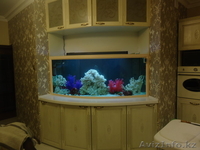 "DARstudio" Изготовление корпусной мебели. - Изображение #10, Объявление #985542