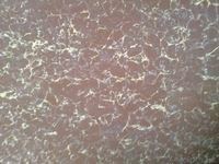 ГРАНИТ, КЕРАМОГРАНИТ, КАФЕЛЬ, МОЗАЙКА,ФАНЕРА, ЛИНОЛЕУМ, ЛАМИНАТ - Изображение #8, Объявление #984032