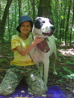 подращённый щенок сао (тобет, алабай) - Изображение #2, Объявление #1010011