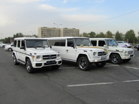 прокат автомобилей на торжество - Изображение #1, Объявление #1004998