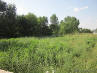 Участок площадью 10 соток за 105 000 $  Верхняя Каменка - Изображение #2, Объявление #1008291