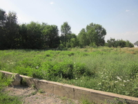 Участок площадью 10 соток за 105 000 $  Верхняя Каменка - Изображение #3, Объявление #1008291