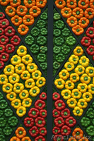 Овощи из тепличного комплекса "Алатау" - Изображение #1, Объявление #1010048