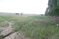 Участок 50 соток в ПК Райымбек - 100 000$ - Изображение #2, Объявление #1007991