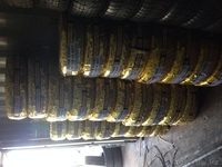 Мухаммад Заир Азамович - Изображение #1, Объявление #1019642