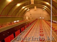 Птичник Утепленный сарай на фундаменте или без него - Изображение #2, Объявление #1024167