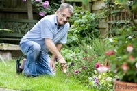 Требуются садовники и ландшафтный дизайнер (Алматы) - Изображение #3, Объявление #1028013