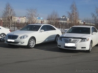 Прокат и аренда автотранспорта с водителем. - Изображение #7, Объявление #167109