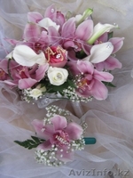 компания Asterix - Изображение #4, Объявление #1036522