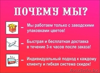 ЦВЕТЫ! Красиво упакуем, оформим, доставим! - Изображение #4, Объявление #1044557