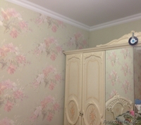 продам хороший дом с ремонтом и мебелью - Изображение #10, Объявление #1035779