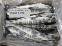 Краб,тунец,икра,креветки.Все для японской,европейской,русской кухни. - Изображение #3, Объявление #1036853