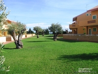 Многочисленные наблюдения подтвердили… - Изображение #3, Объявление #1054509