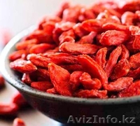 ягоды годжи, годжи в алматы, ягоды годжи купить в алматы - Изображение #2, Объявление #1053194