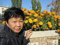 Из рук в руки продам клумбовые цветы  из собственной теплицы - Изображение #3, Объявление #1056475