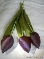 Подарок к 8 марта, Цветы  - Изображение #3, Объявление #1012602