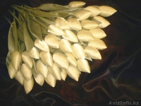 Подарок к 8 марта, Цветы  - Изображение #1, Объявление #1012602