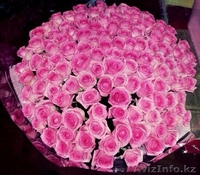 Букет из 151 роз за смешную цену - Изображение #1, Объявление #1057515