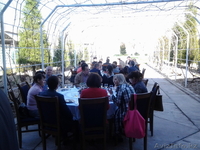 «Алый восход, белое солнце - винный тур» - Изображение #3, Объявление #1080509