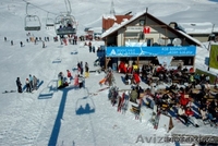 Квартира , Зимний курорт в Бакуриани - Изображение #7, Объявление #1081245