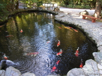 Геомембрана KGS Мембрана KGS - от 0.15мм до 2.5мм - Изображение #2, Объявление #1087462